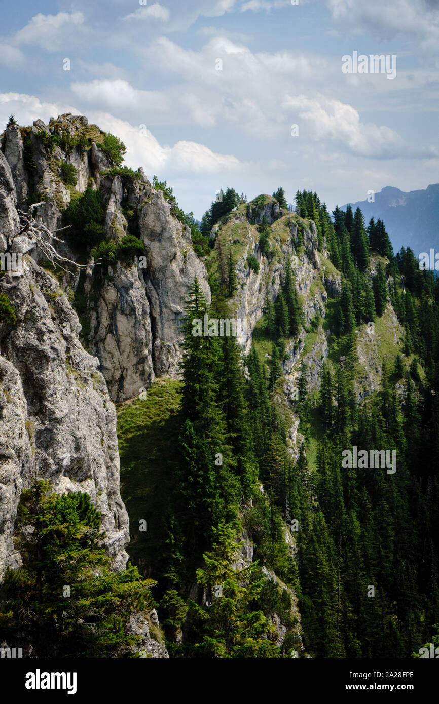 Auf dem Weg zur Teufelstättkopf. Stockfoto