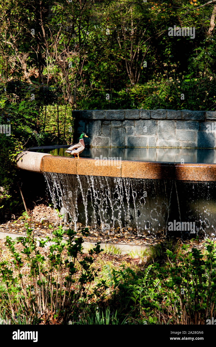 Atlanta garten Fotos und Bildmaterial in hoher Auflösung Alamy
