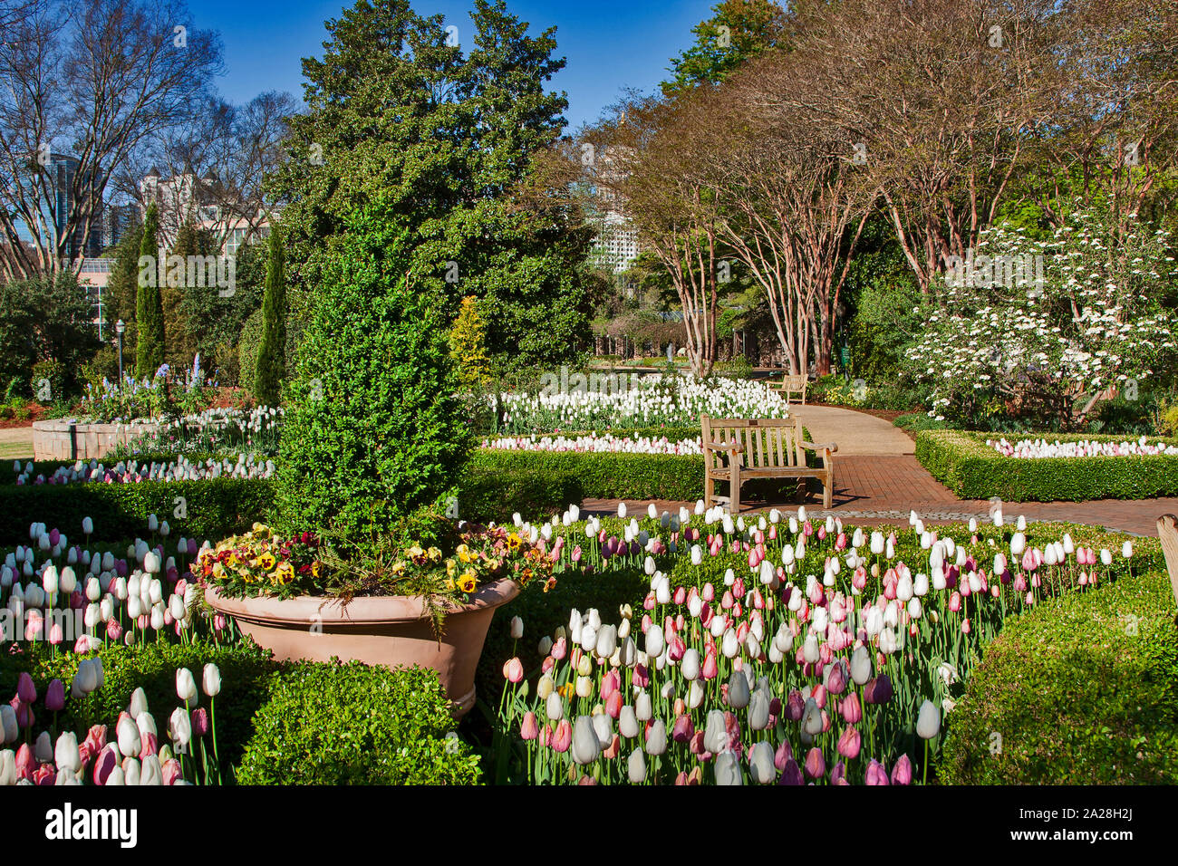 Botanischer Garten Atlanta, Atlanta, Georgia, Stockfoto