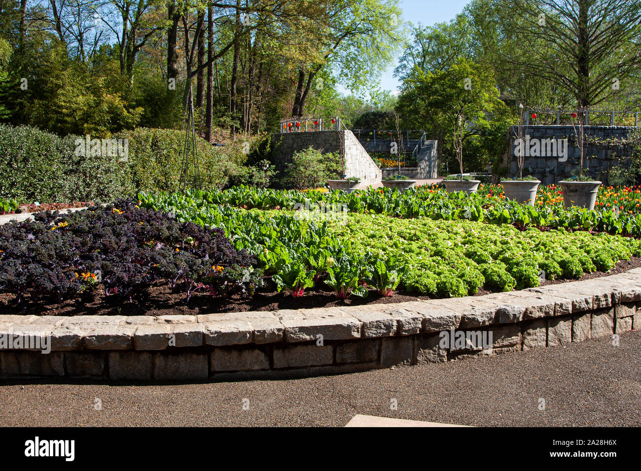 Botanischer Garten Atlanta, Atlanta, Georgia, Stockfoto