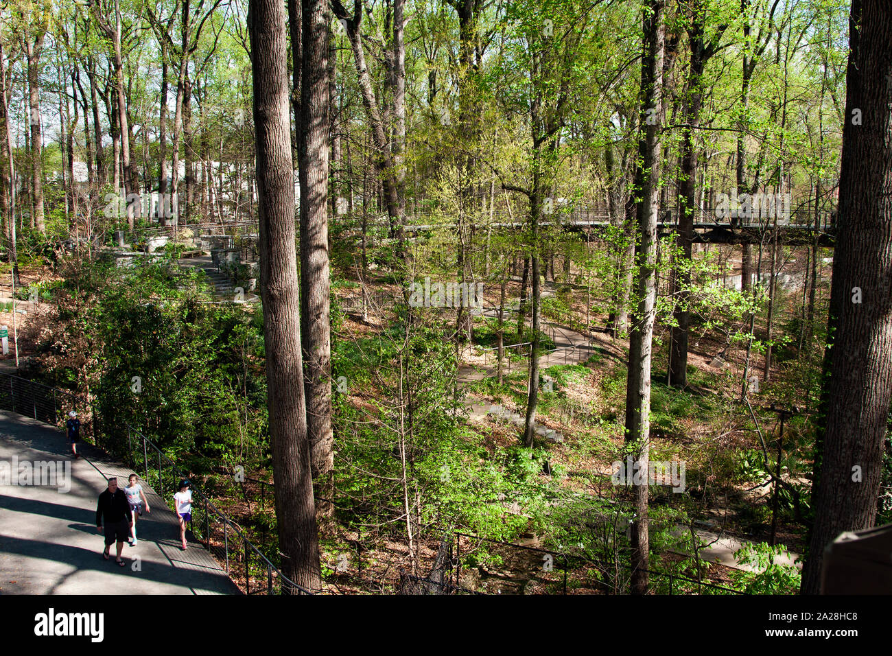 Botanischer Garten Atlanta, Atlanta, Georgia, Stockfoto