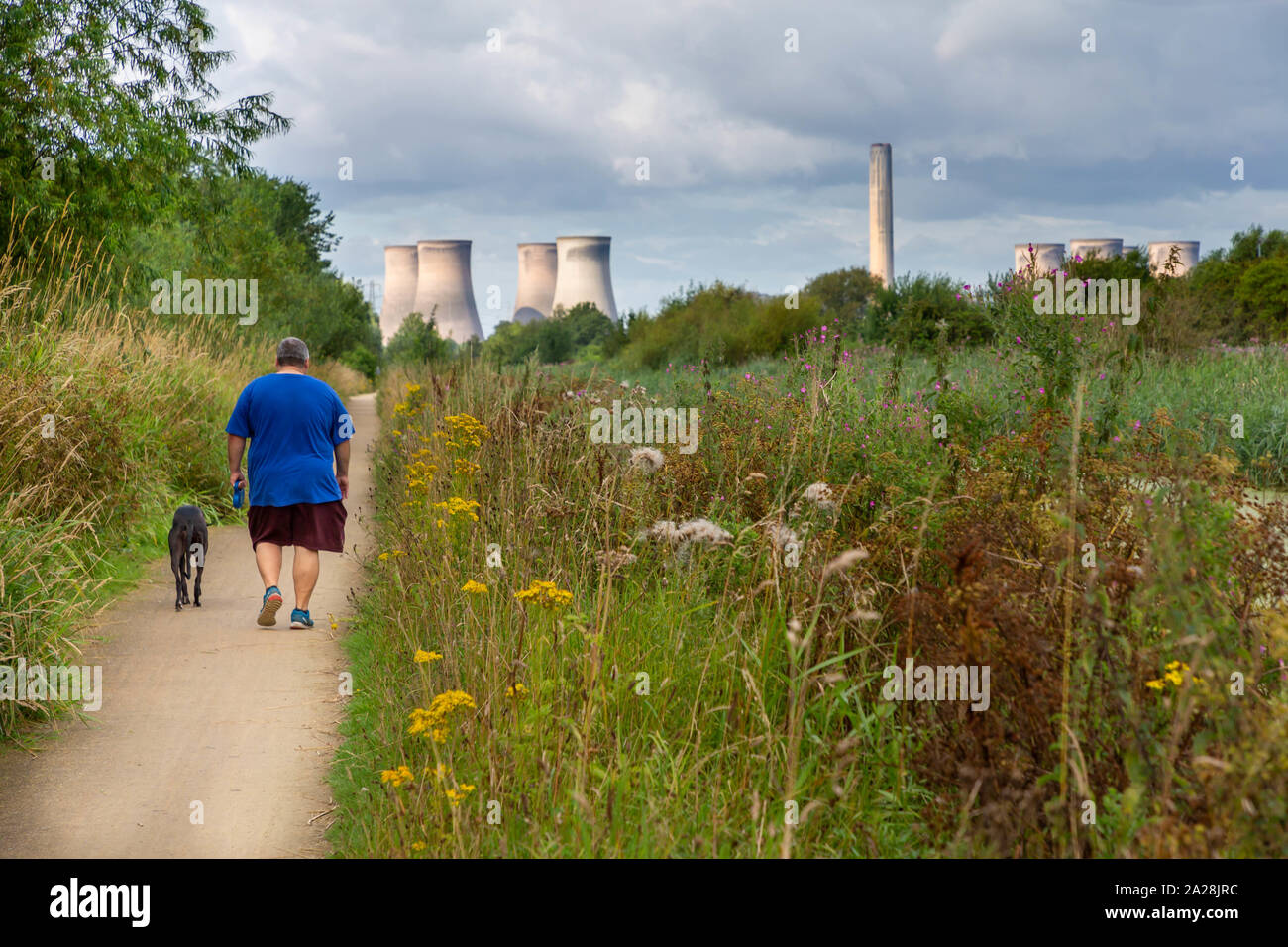 Übergewichtiger Mann in Shorts Spaziergänge sein Hund entlang der Trans Pennine Trail in Richtung Fiddlers Ferry Kraftwerk, St Helen's Canal, Gatewarth, Warrington Stockfoto