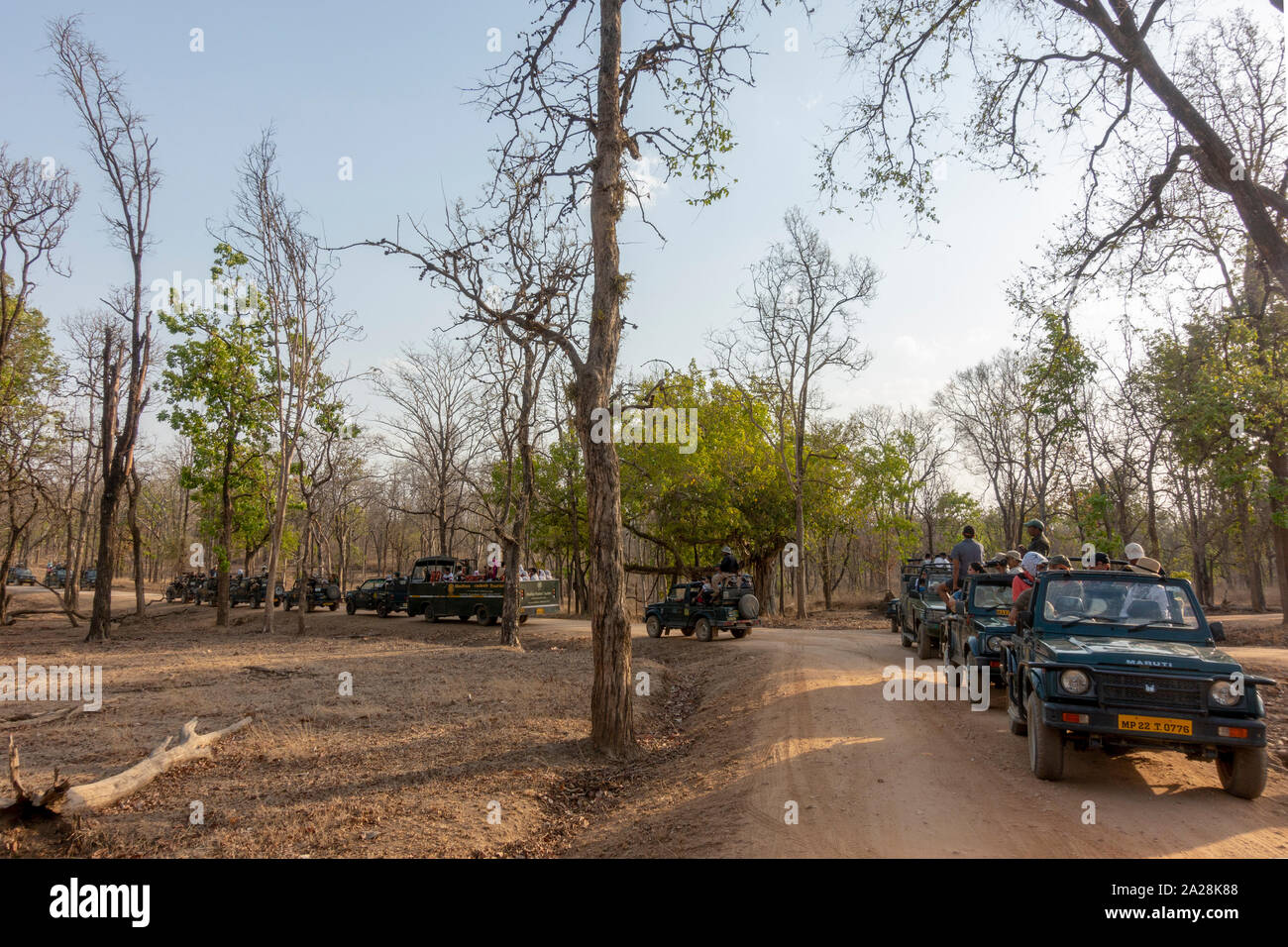 Landschaft von Pench Nationalpark oder Pench Tiger Reserve in Indien Stockfoto