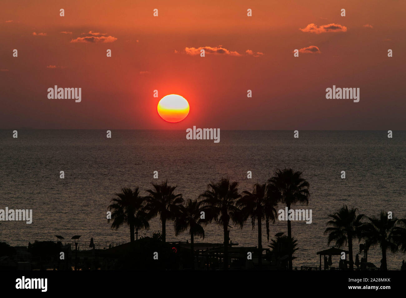 Beirut, Libanon. 1. Okt, 2019. Palmen silhouetted, wie die Sonne über dem Mittelmeer in Beirut. Credit: Amer Ghazzal/SOPA Images/ZUMA Draht/Alamy leben Nachrichten Stockfoto