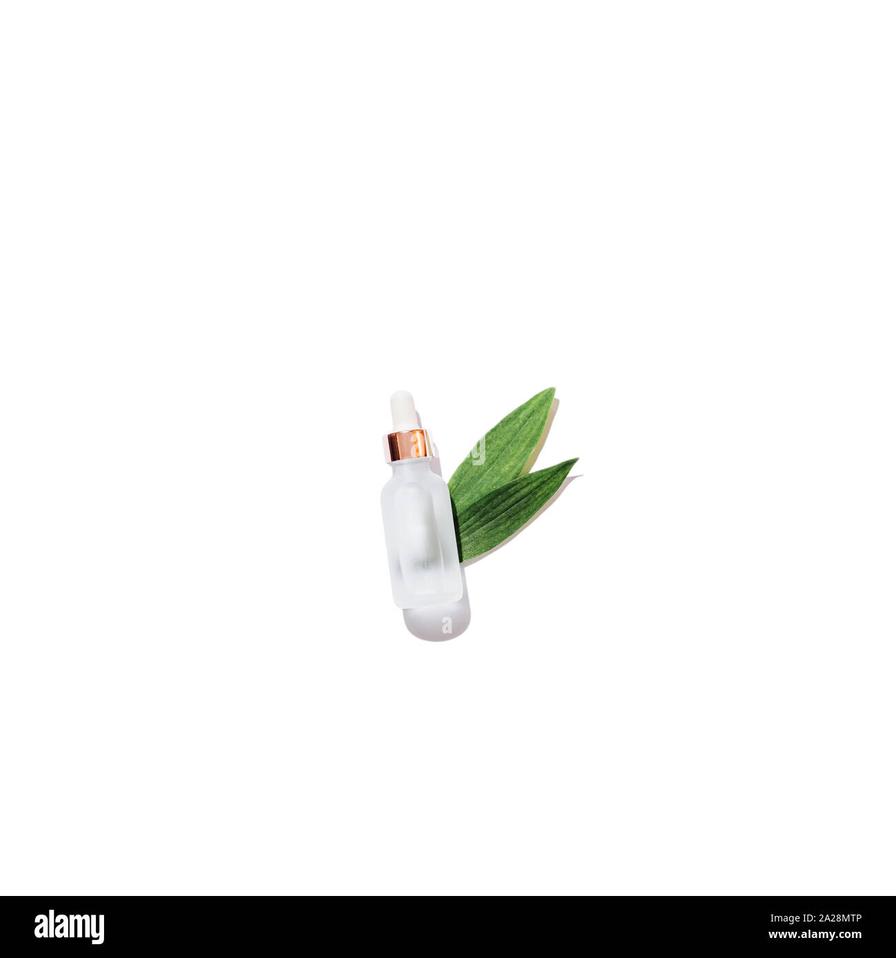 Beauty kosmetisches Produkt Flasche Organic Natural serum Neben grüne Blätter auf weißem Hintergrund mit Kopieren, minimalistisch flach Komposition. Stockfoto