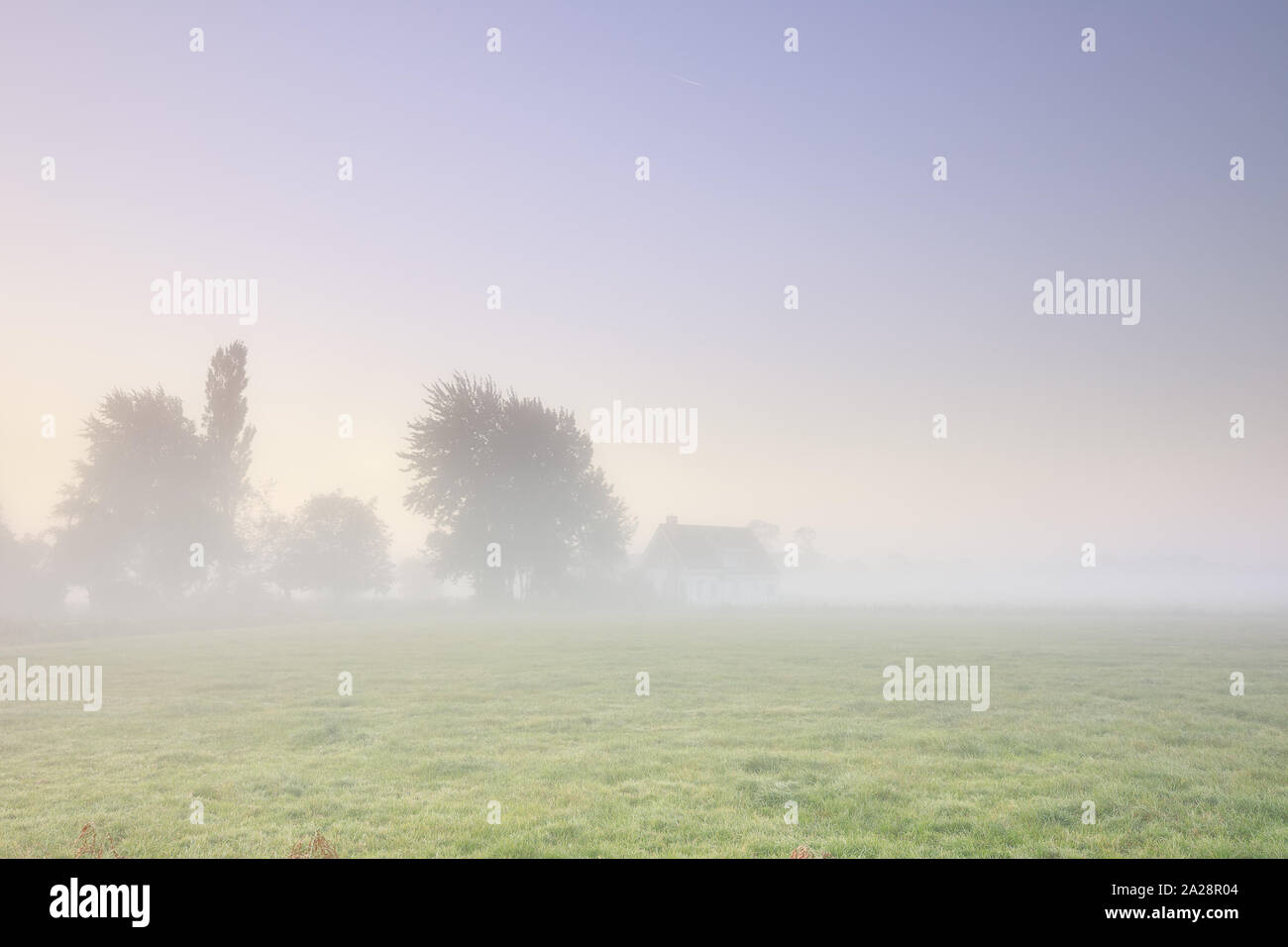 Bauernhaus in dichten Nebel bei Sonnenaufgang, Niederlande Stockfoto