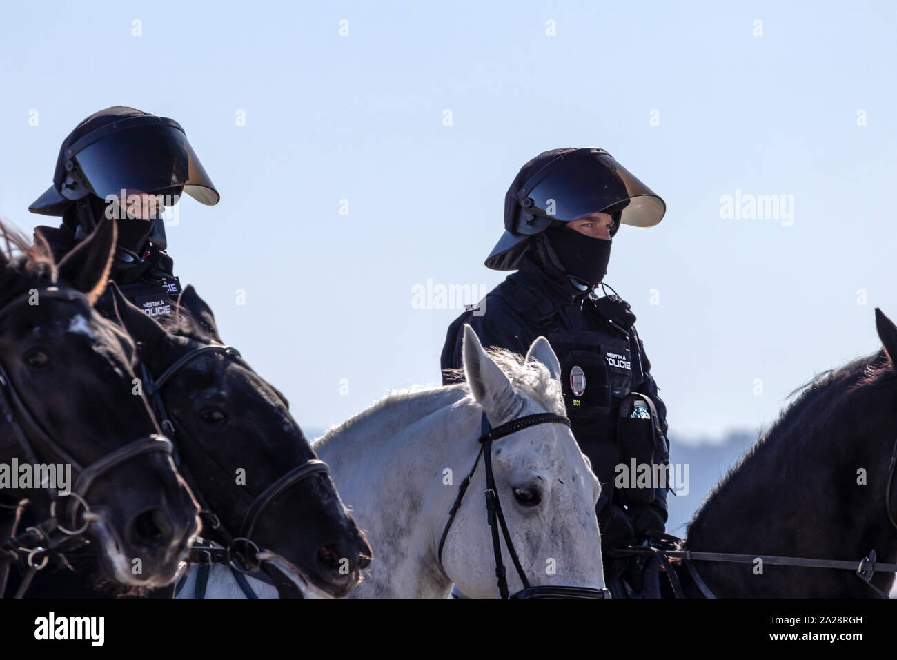 OSTRAVA, tschechische Republik - 21 September, 2019: NATO-Tage. Tschechische berittenen Polizeistaffel führt eine dynamische Anzeige auf dem Pferd. Stockfoto