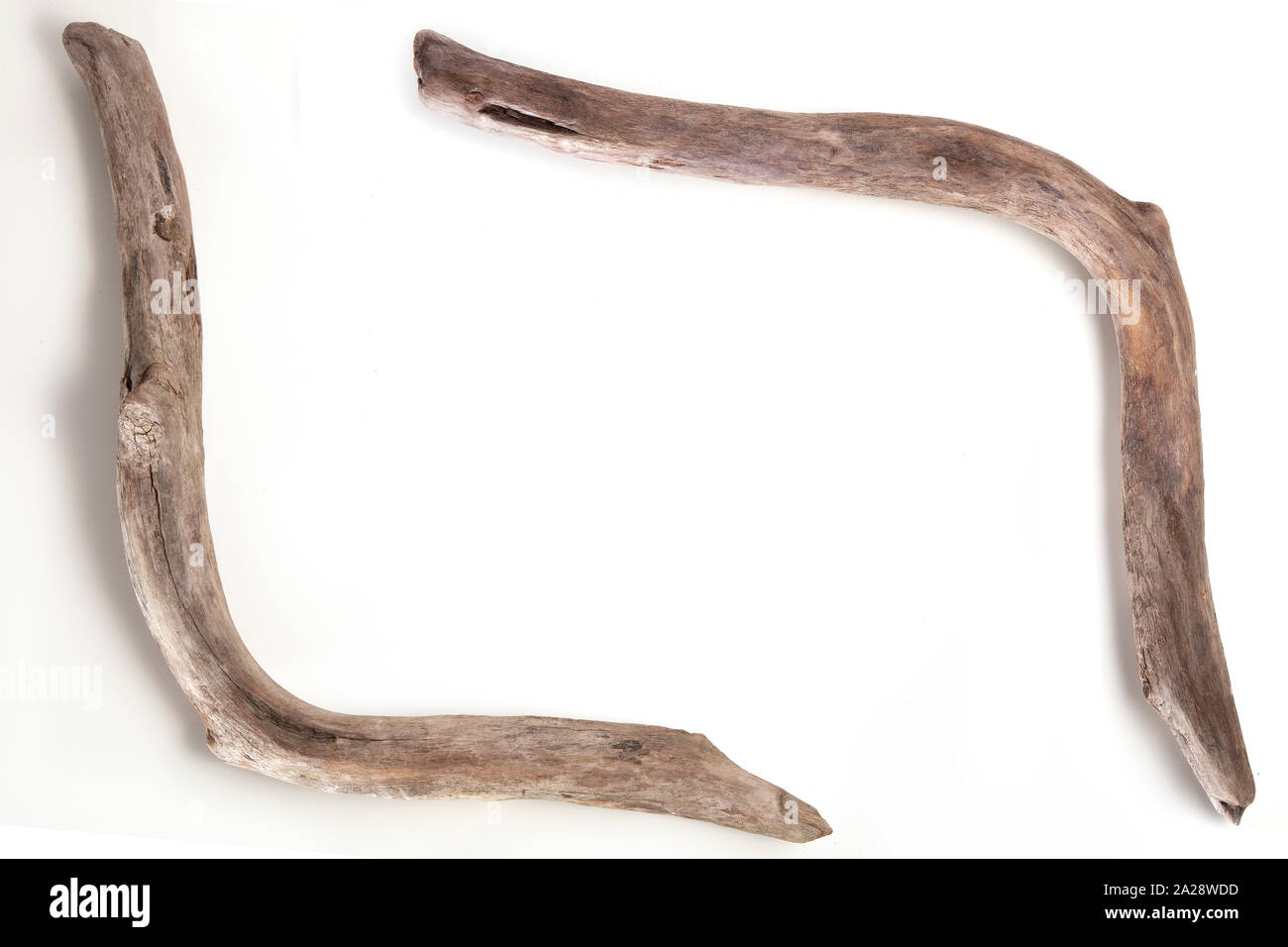 Stücke von drift wood auf weißem Hintergrund Stockfoto