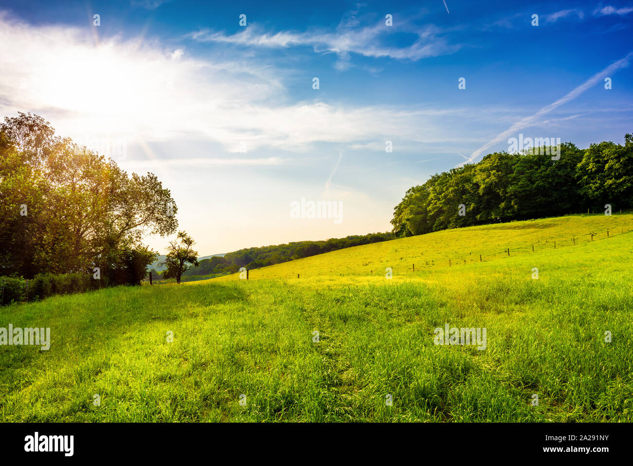 Landschaft mit grünen Wiesen bei Sonnenaufgang Stockfoto