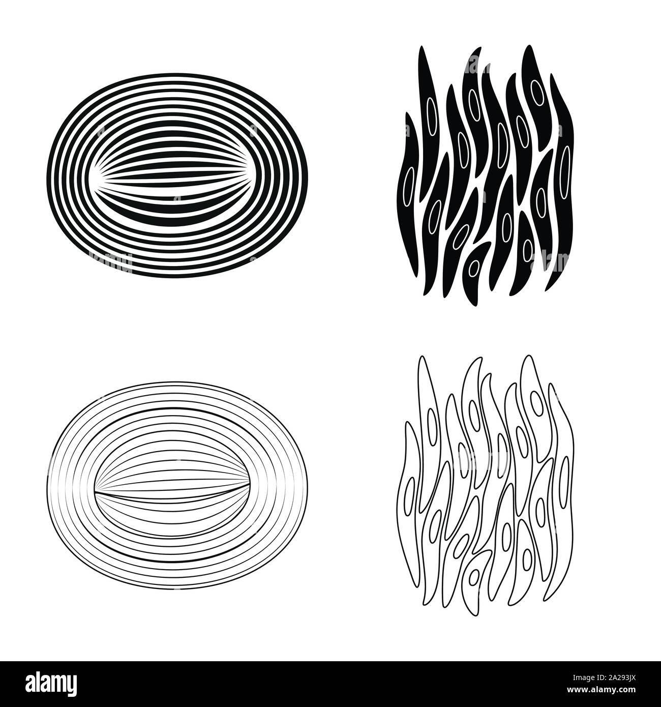 Vektor Design der Faser und muskulös. Satz von Faser- und Körper vektor Illustration. Stock Vektor