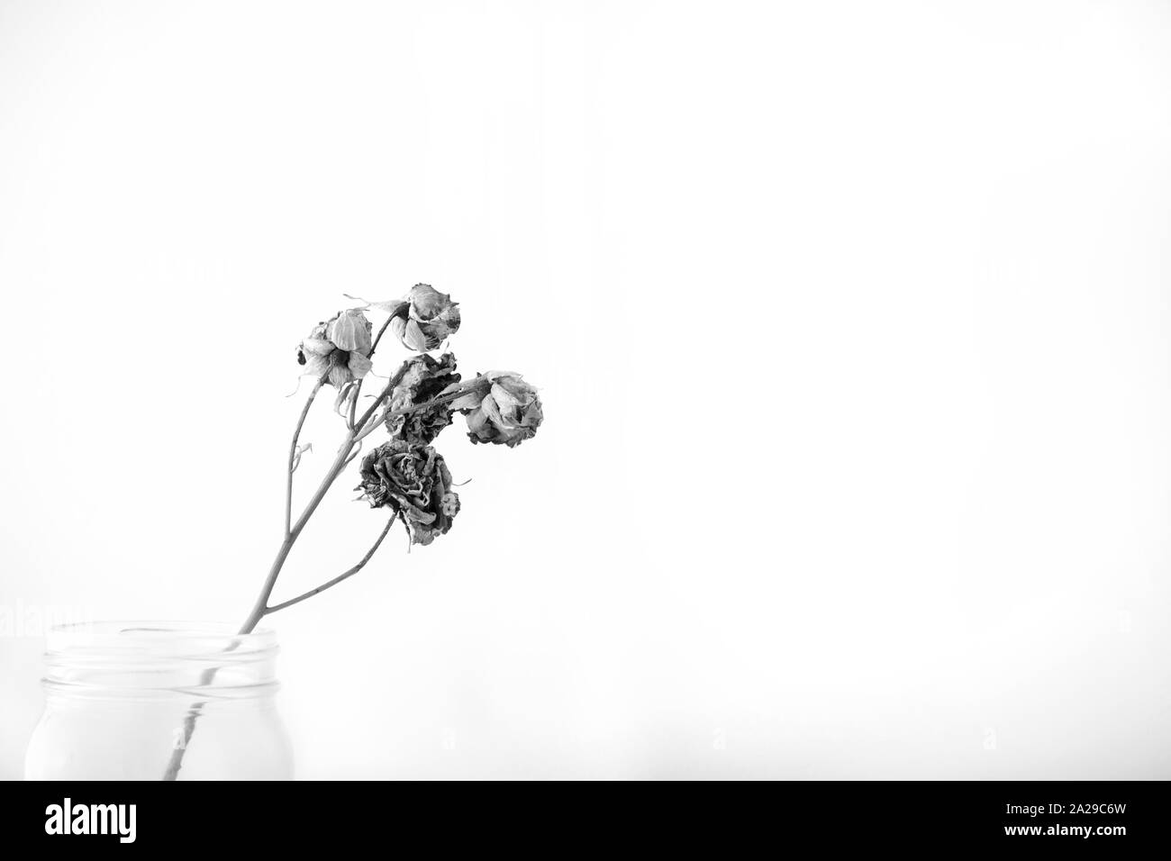 Getrocknete Rosen in einem Marmeladenglas. Stockfoto
