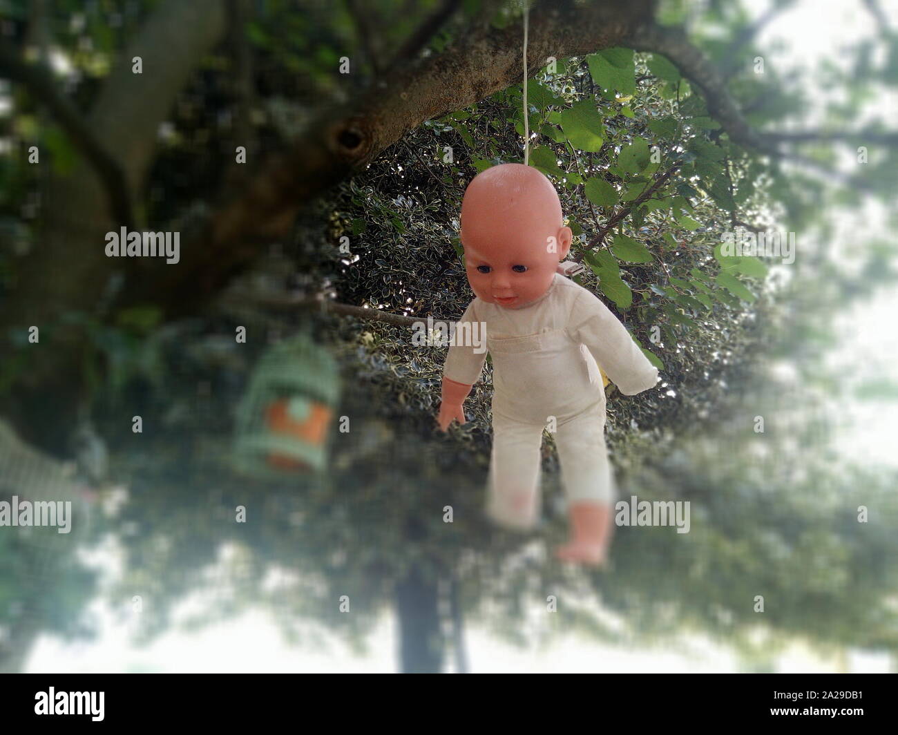 Ein furchtsames mutilted Puppe über einen Baum gehängt Stockfoto