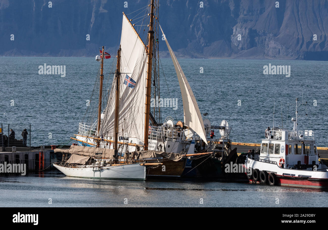 Die námafjall geothermale Region im Nordosten Islands. Stockfoto