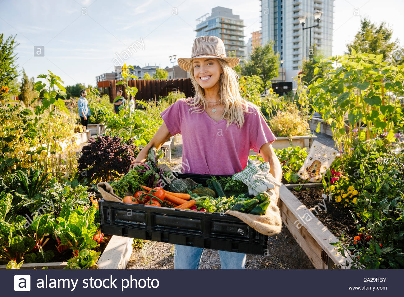 Portrait glückliche, selbstbewusste junge Frau, die frisch geernteten Gemüse in sonniger, städtischen Gemeinschaft garten Stockfoto