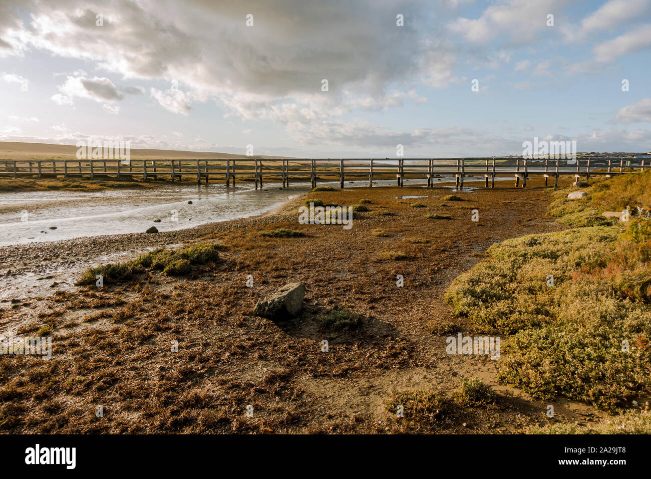 Holzsteg am Chesil Beach Nature Reserve, in der Nähe der Isle of Portland, Jurassic Coast, Dorset, South West England, UK. Stockfoto