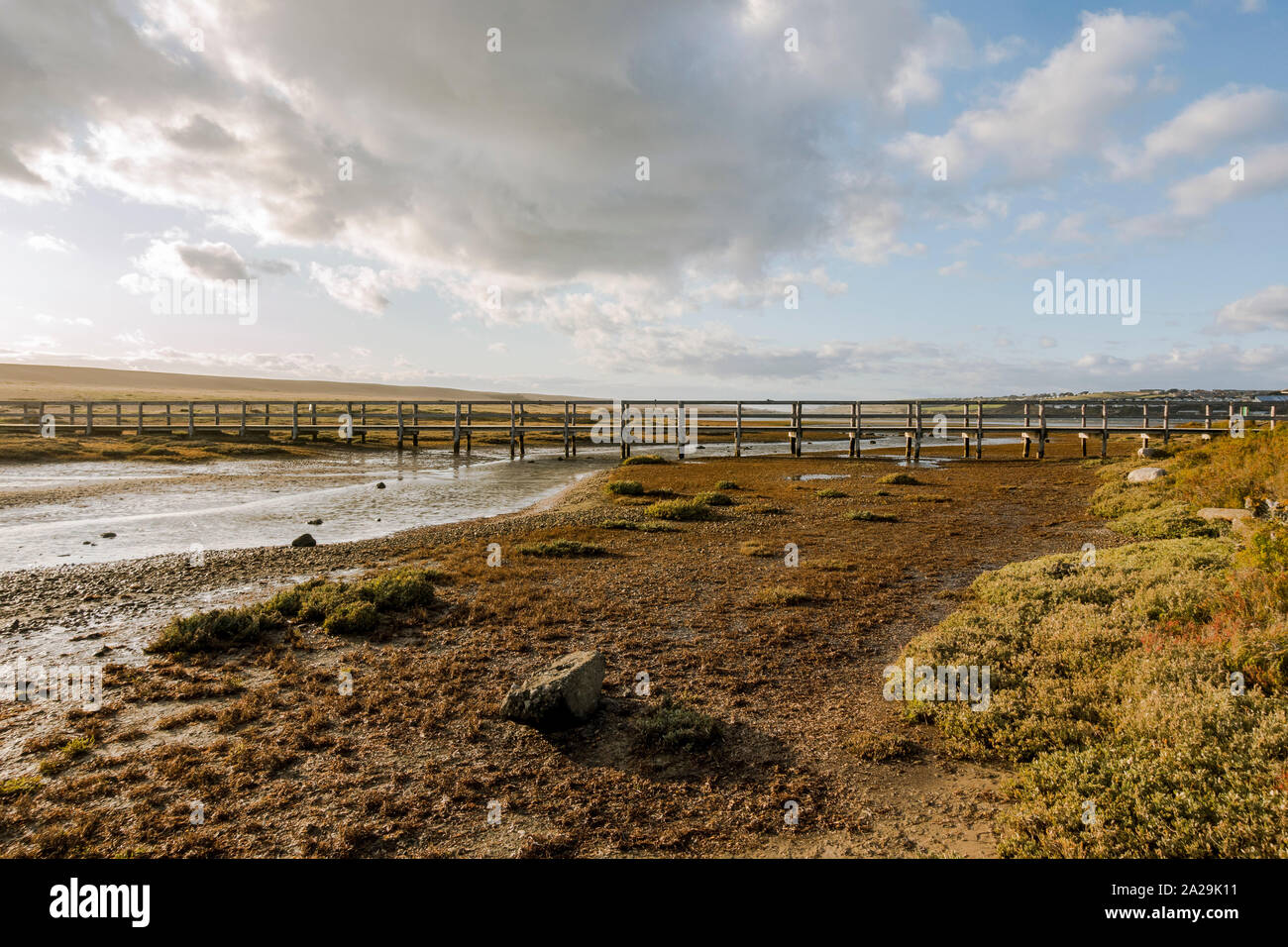 Holzsteg am Chesil Beach Nature Reserve, in der Nähe der Isle of Portland, Jurassic Coast, Dorset, South West England, UK. Stockfoto