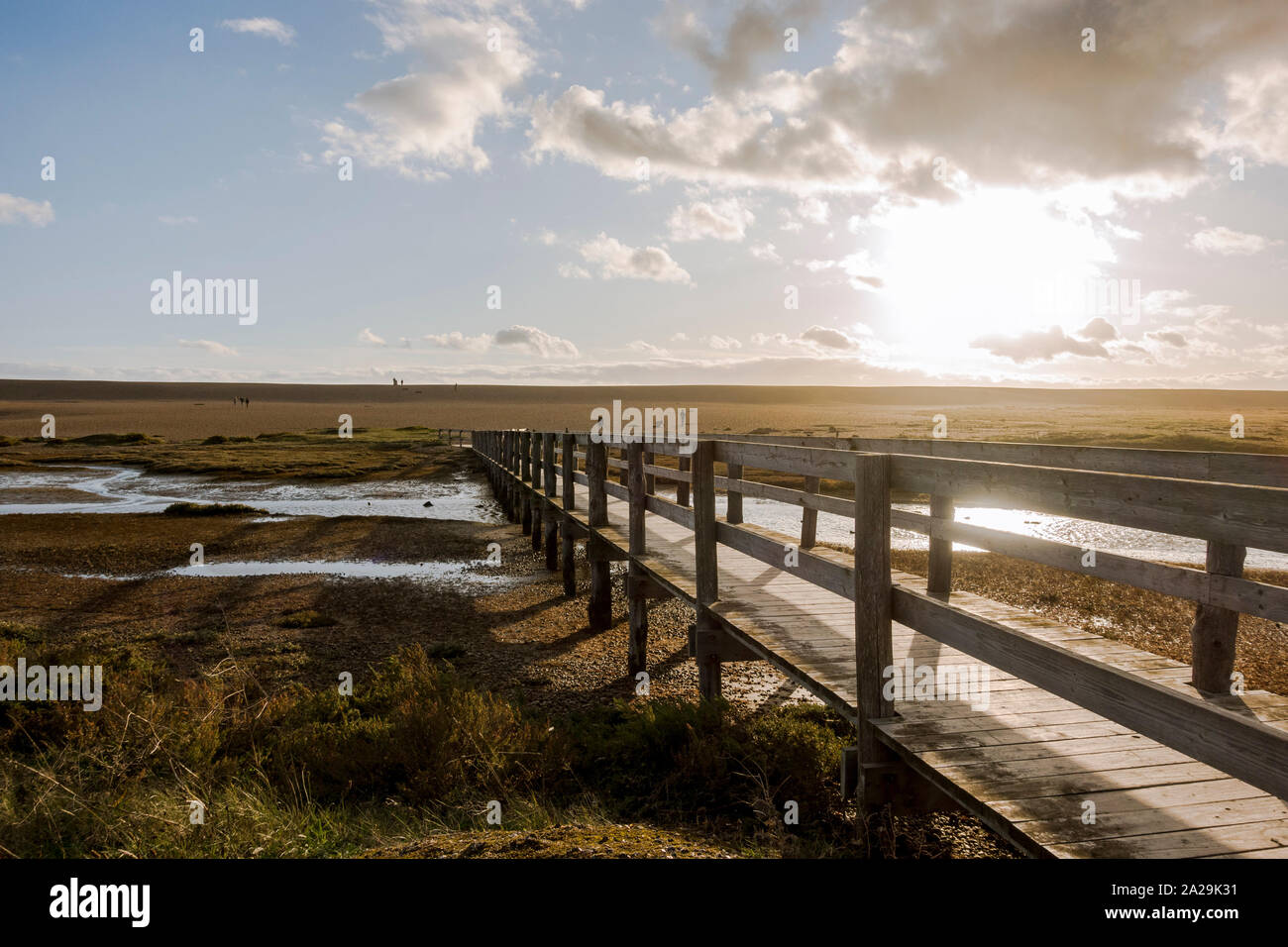 Holzsteg am Chesil Beach Nature Reserve, in der Nähe der Isle of Portland, Jurassic Coast, Dorset, South West England, UK. Stockfoto