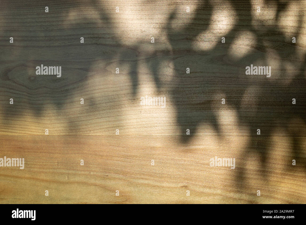 Holz Tafel in blau getönt. Holz Textur. Helle Schatten von einem Baum Stockfoto