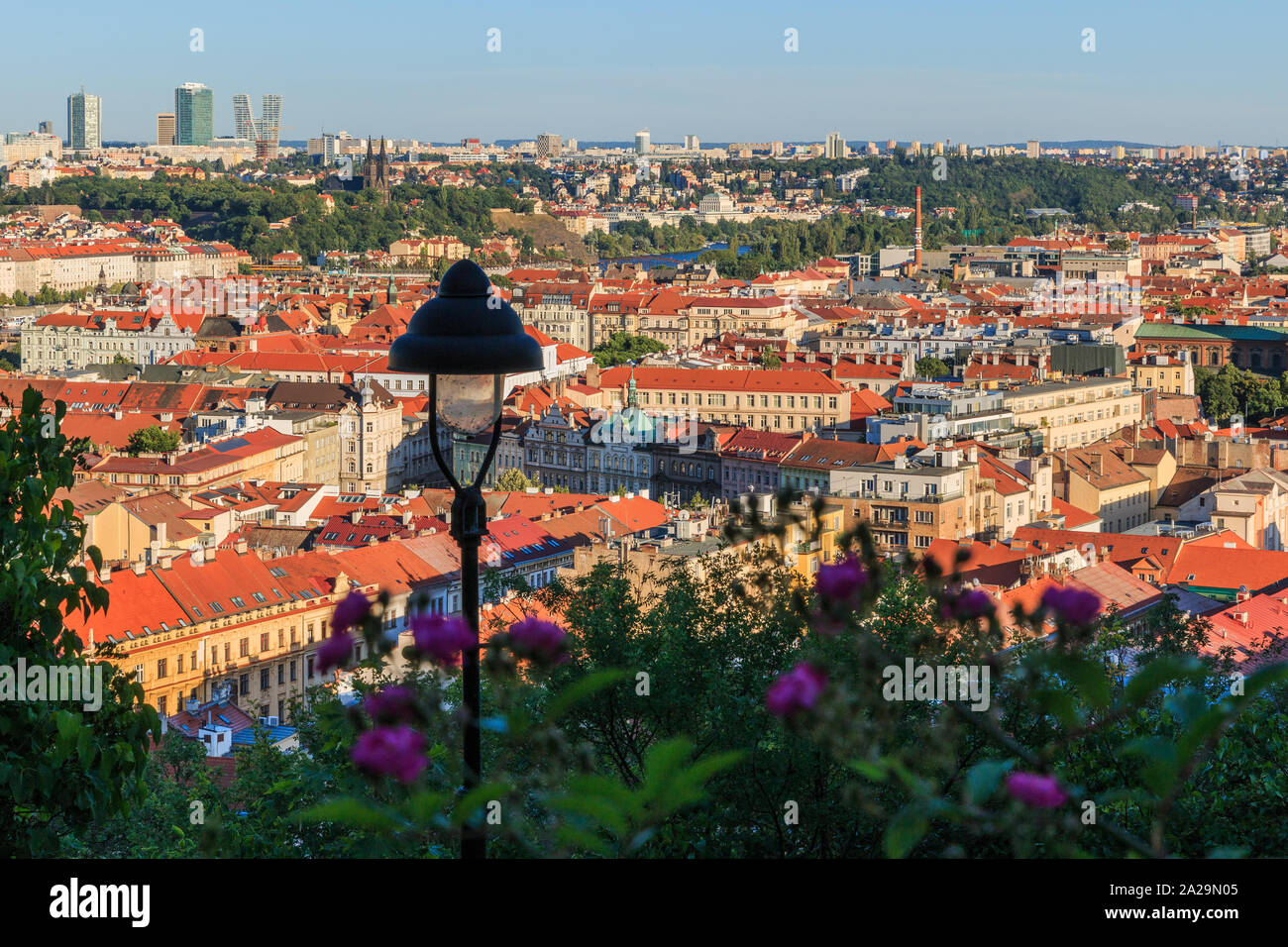 Panoramablick mit Sträuchern und Violett mit street lamp von Petrin Hügel auf historische Gebäude und Moldau über Stadtteil Mala Strana in Prag Stockfoto