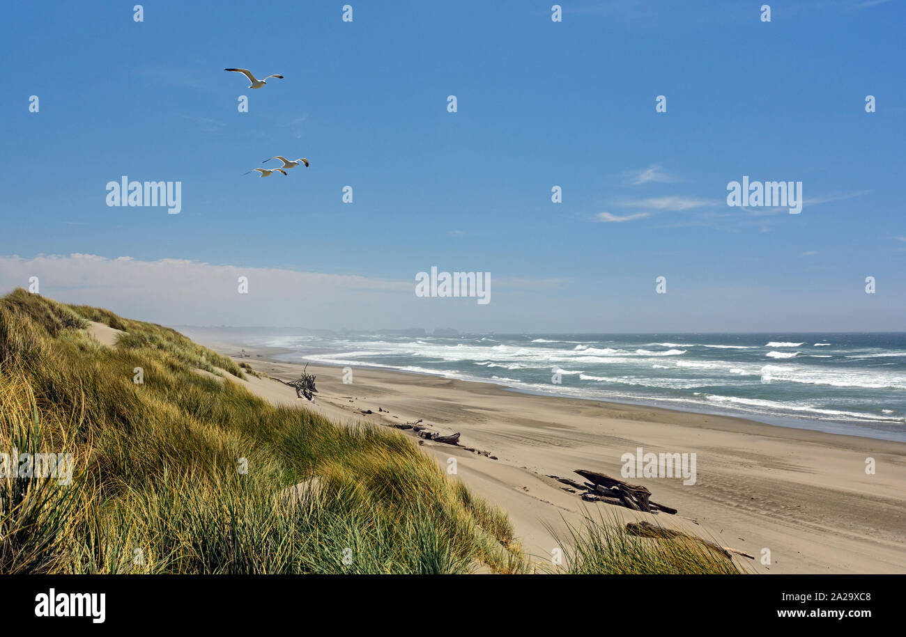 Bullards Strand im Sommer in der Nähe von Bandon, Oregon Stockfoto