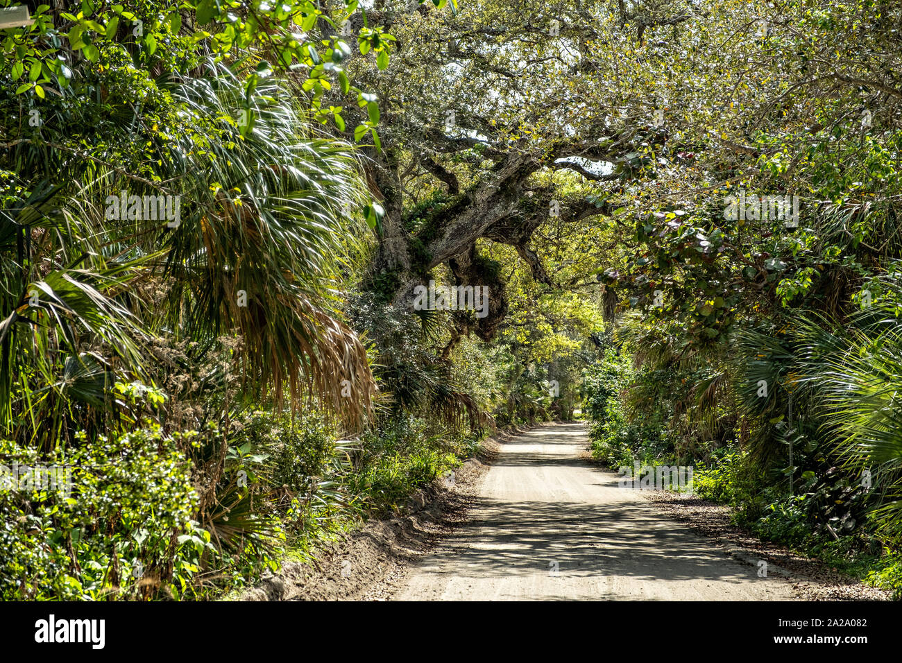 Markierung am Eingang zum historischen Jungle Trail auf Orchid Island in Vero Beach, Florida. Die acht - Meile sandigen Weg in den 1920er Jahren entlang der Ufer des Indian River führt zu Pelican Island Sanctuary, dem ersten Wildlife Refuge in die U.S. Stockfoto