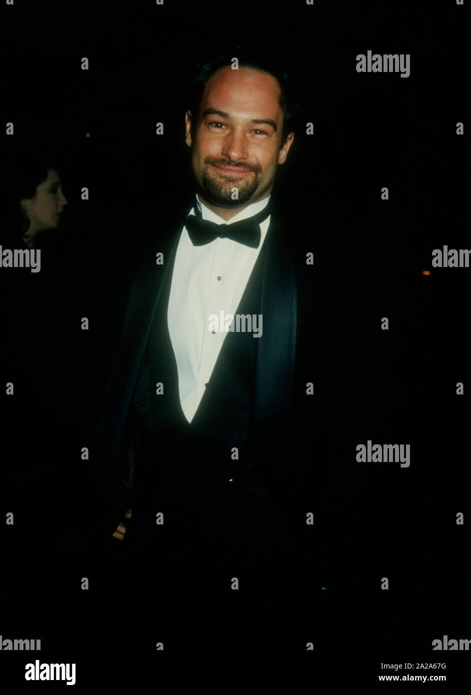 Los Angeles, Kalifornien, USA, 15. Januar 1995 Schauspieler David Packer nimmt an der 16. jährlichen CableACE Award am 15. Januar 1995 im Wiltern Theater in Los Angeles, Kalifornien, USA. Foto von Barry King/Alamy Stock Foto Stockfoto