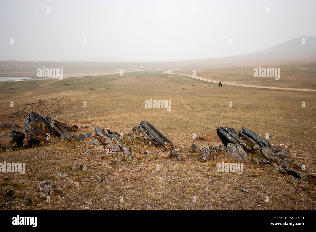Steppe mit Nebel Straße und Steinen. Ein Pferd Schürfwunden. Große Steine Steine in den Vordergrund. Stockfoto