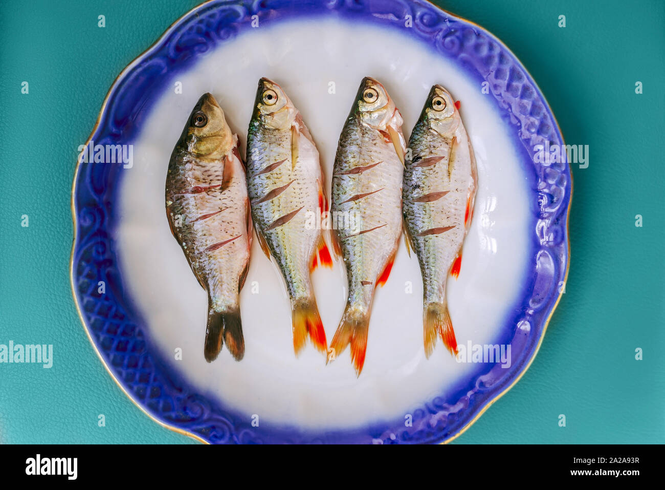 Frische Fische auf Platte auf grüne Minze Hintergrund. Stockfoto