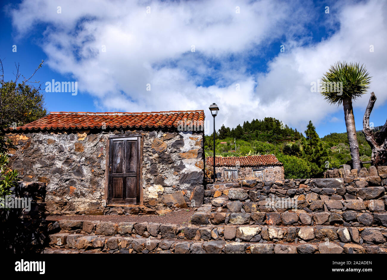 Traditionelle kanarische Häuser mit Drachenbaum, La Palma, Kanarische Inseln, Spanien, Europa. Stockfoto