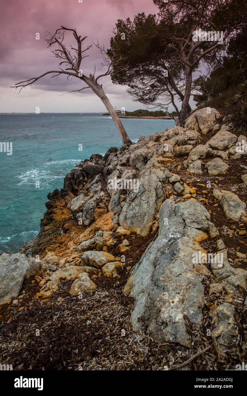 Küste von Alcudia, Mallorca Stockfoto