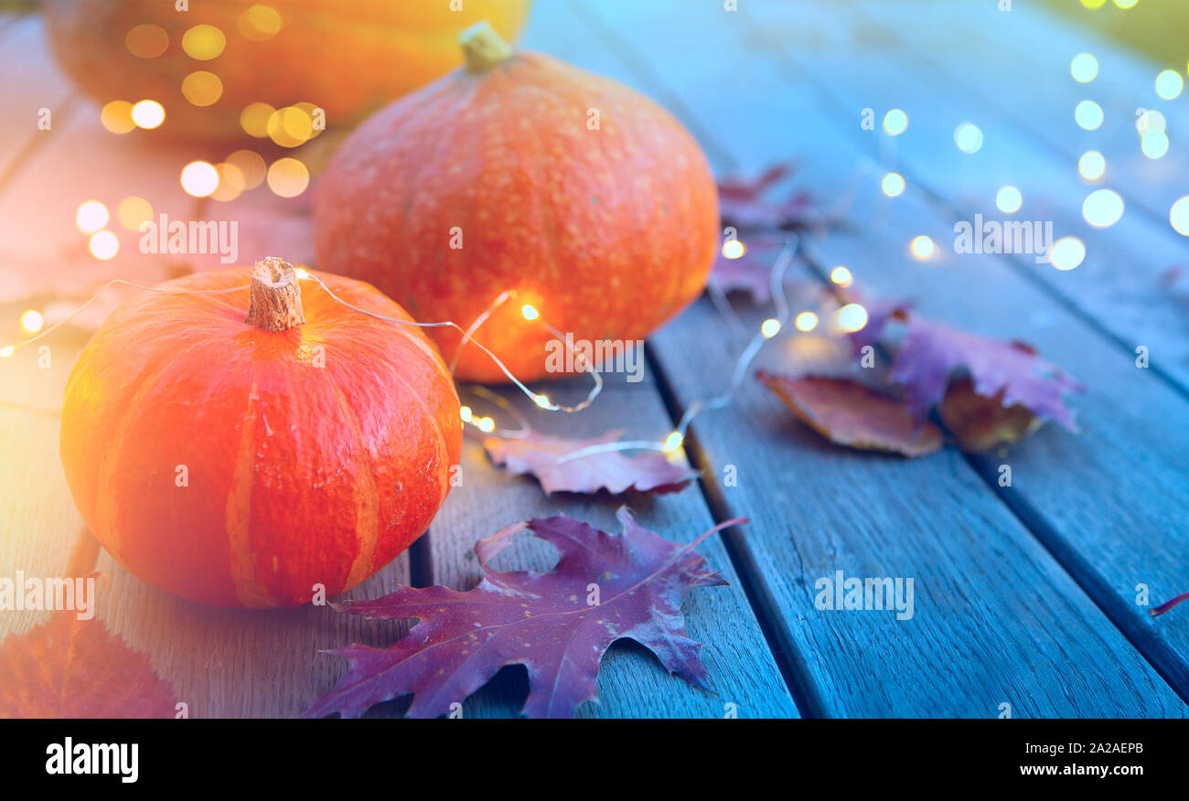 Thanksgiving, Hintergrund, Herbst Kürbis und Urlaub Licht Dekoration Stockfoto