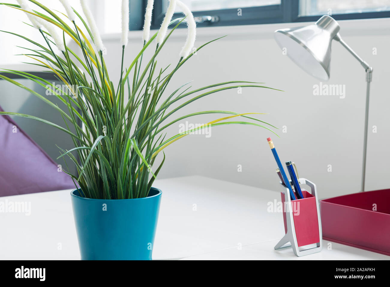 Modernes, farbenfrohes Workstation in einem Büro mit Topfpflanze Stockfoto