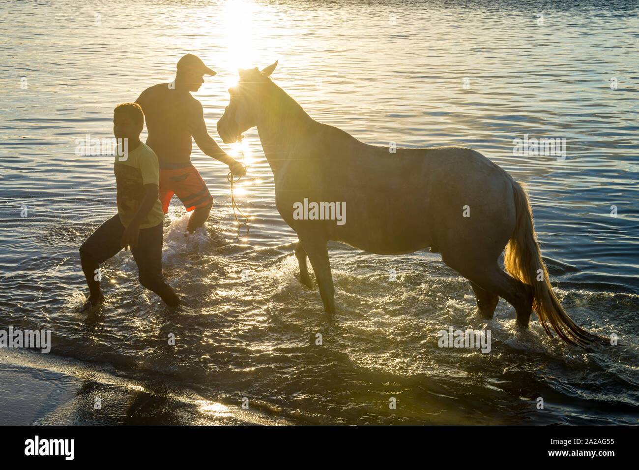 BAHIA, BRASILIEN - 15. MÄRZ 2017: Eine brasilianische Pferd nimmt eine im Fluss schwimmen mit seinem Besitzer an einem Strand auf einer einsamen Insel in Nordeste Bahia. Stockfoto