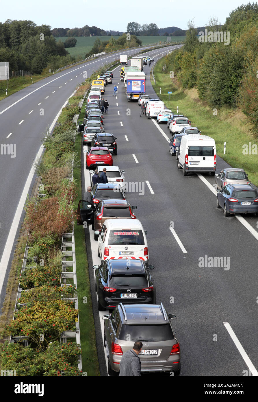 Tessin, Deutschland. 02 Okt, 2019. Die Autobahn A20 in der Nähe von tessin ist vollständig Nach einem Auffahrunfall geschlossen. Die Autofahrer haben eine Rettung Lane gebildet. Der Unfall wurde von einem der beiden Entflohenen Zirkus Zebras verursacht. Das Zebra hatte der Zirkus im Tessin mit einem Gefährten Zebra in der Nacht. Quelle: Bernd Wüstneck/dpa-Zentralbild/dpa/Alamy leben Nachrichten Stockfoto