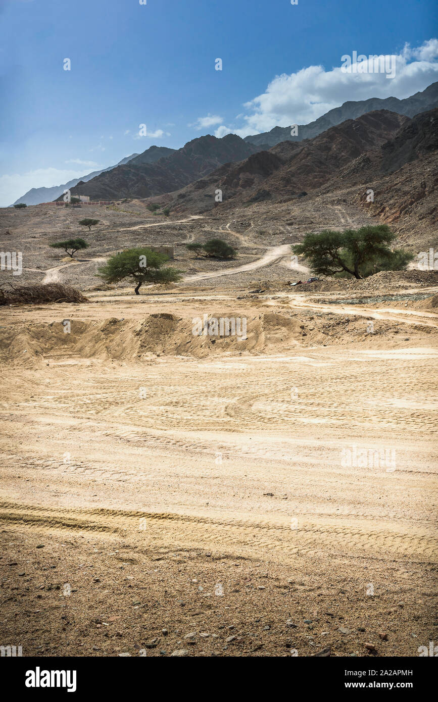 Ein Weg vorbei an Bäume, von der Wüste und in die Berge Stockfoto