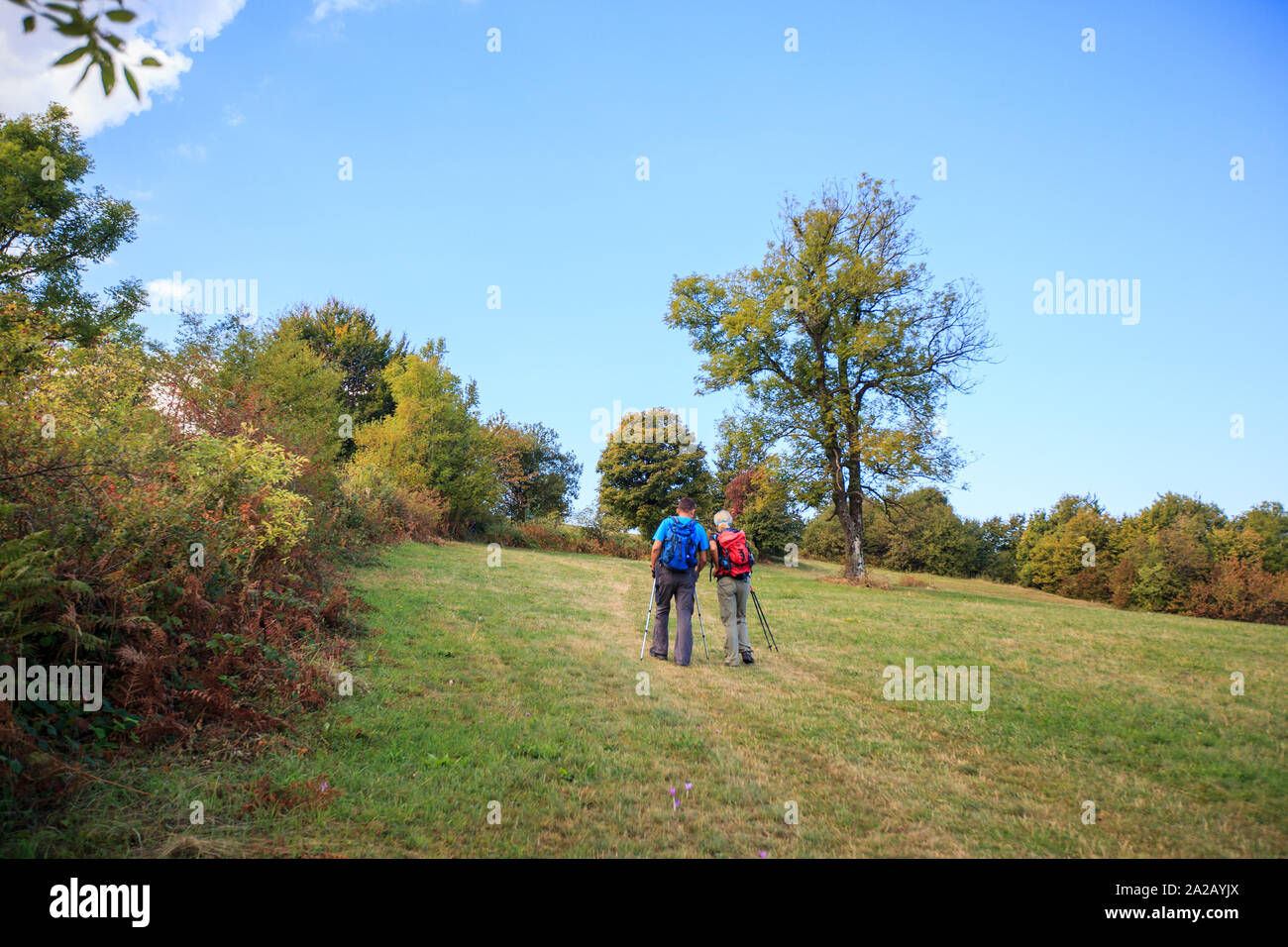 Ältere Wanderer Wandern in der herrlichen Bergwelt, Panoramablick vom Berg Rajac, Serbien, Rückansicht des unkenntlich Menschen Stockfoto