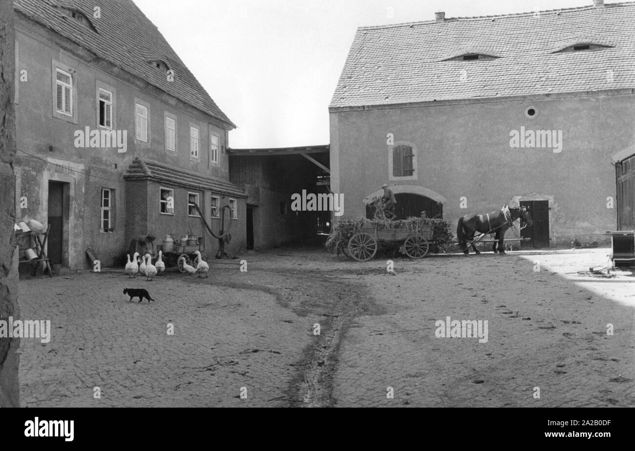 Ein privat geführtes Farm in der DDR. Das Bild zeigt den Hof der ...