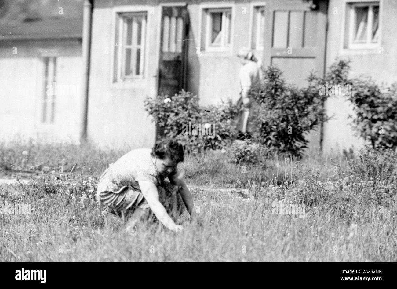 Foto von friedrike Hofer, Frau des ehemaligen Gauleiter von Tirol, Franz Hofer, der das internierungslager nach dem Krieg floh und ersten Hid in der Nähe von München, arbeitete dann als Unternehmer in Mülheim an der Ruhr. Auf dem Foto, Friederike Hofer, die in einem Flüchtlingslager in München zu dieser Zeit. Stockfoto