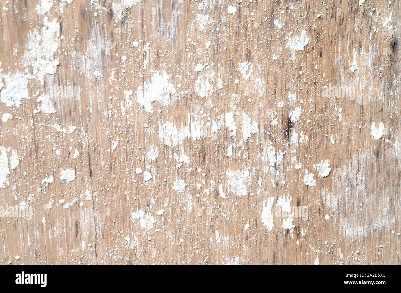 Alten Holzwand mit verwitterten Lack Stockfoto
