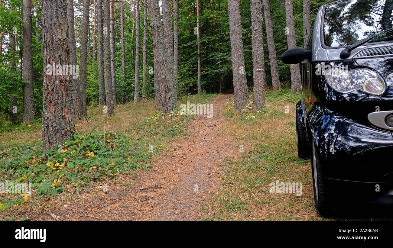 Wald Trail in der Gesellschaft von einem kleinen Auto Stockfoto