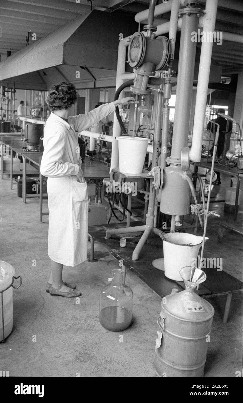 Die Produktion des Impfstoffs. Das Bild wurde in der Chemischen Fabrik Ravensberg, dem Hersteller der Grippeimpfstoff genommen. Stockfoto