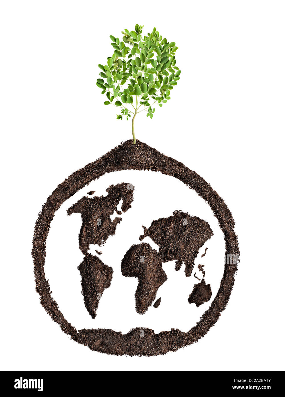 Konzeptionelle Weltkarte Recycling oder Landwirtschaft, wächst ein Baum Stockfoto