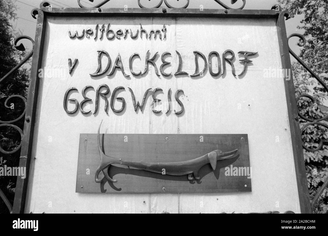 Dackel Züchter Kathi Hofmeister aus ihrer Heimatstadt als "ackeldorf Gergweis" bekannt. Hier ist ein Wegweiser zu Ihrem 'Welt-berühmten "Hundehütte. Stockfoto