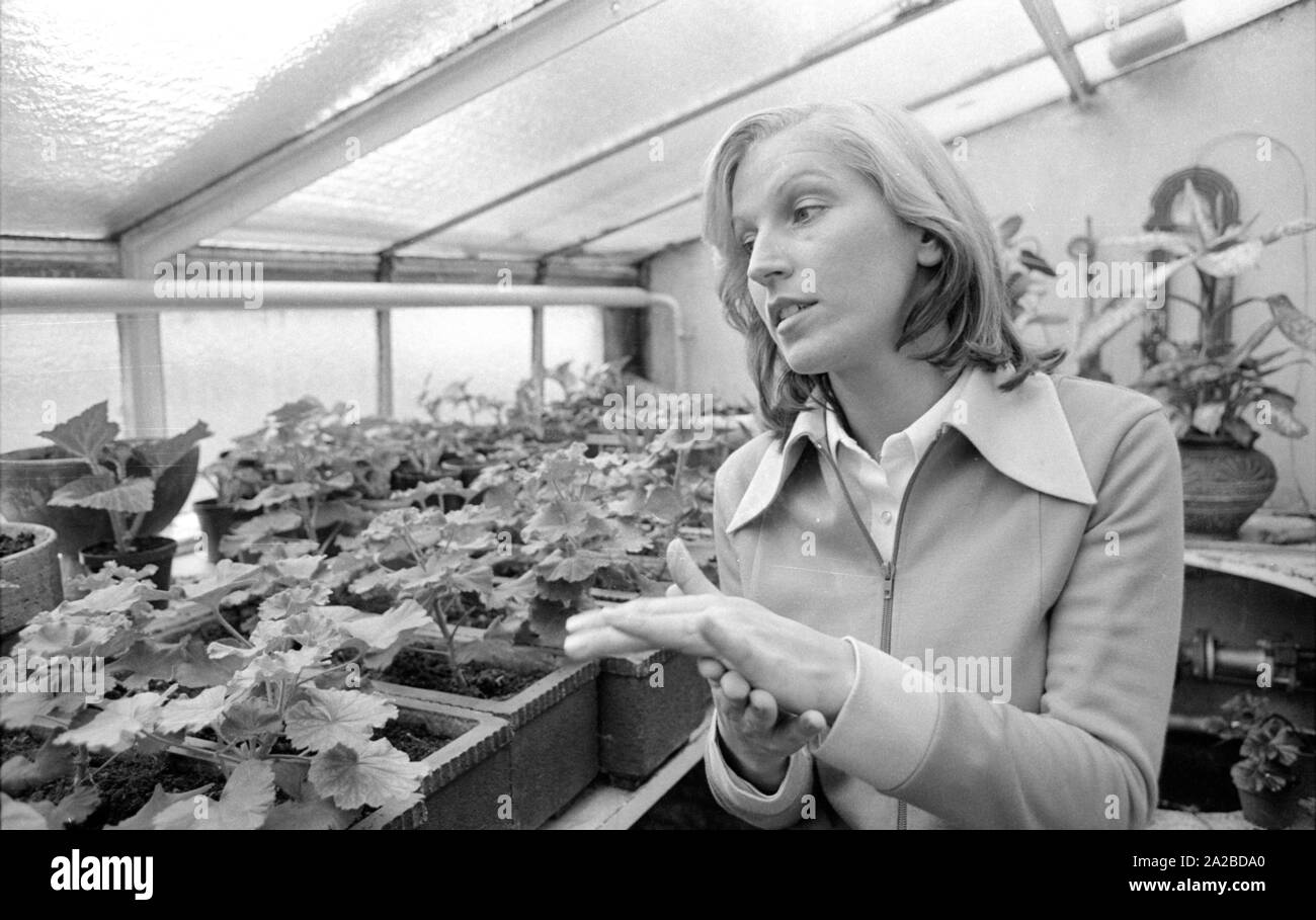 Home Geschichte mit dem Beckenbauer Familie. Bild: Brigitte Beckenbauer im Gewächshaus. Stockfoto