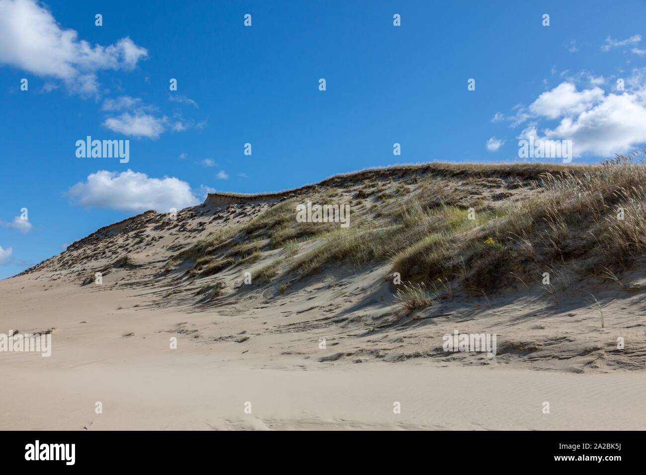 Kurische Nehrung Nationalpark Stockfotos und bilder Kaufen Alamy