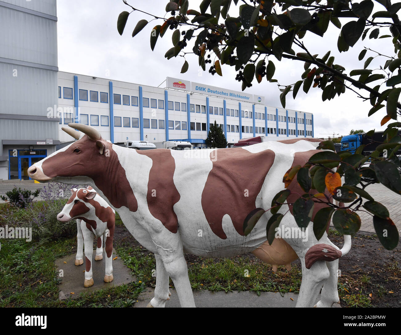 Erfurt, Deutschland. 02 Okt, 2019. Kunststoff Kühe stehen vor dem Erfurter Anlage der DMK Deutsches Milchkontor GmbH. Die Produktion an diesem Standort seit 50 Jahren. Heute, rund 950.000 Liter Milch werden täglich in hochwertige Produkte wie Skyr, Milch, Joghurt, Quark und Käse sowie die traditionelle Produkt Rote Grütze verarbeitet. Über 330 Mitarbeiter arbeiten hier. Foto: Martin Schutt/dpa-Zentralbild/dpa/Alamy leben Nachrichten Stockfoto