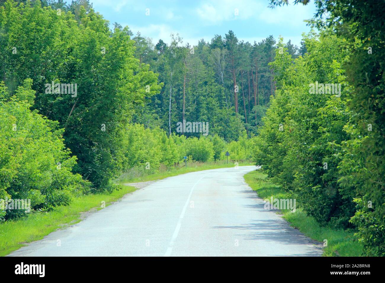 stra-enrand-baum-fotos-und-bildmaterial-in-hoher-aufl-sung-alamy