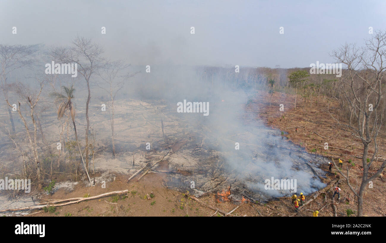 SANTA CRUZ DE LA SIERRA, SL - 22.09.2019: 2 Millionen Hektar MIT FEUER IN BOLIVIEN - Der Millionen von Hektar, in der Chiquitania, Bolivien verbrannt wurden, nach Santa Cruz ernmentment. Nach offiziellen Angaben 900 Hektar sind geschützt und stark betroffene Gebiete durch Konzeption, San Ignacio De Velasco, San Matías und Charagua. Foto mit dem Dröhnen der San Pablo Gemeinschaft. (Foto: Gaston Brito/Fotoarena) Stockfoto