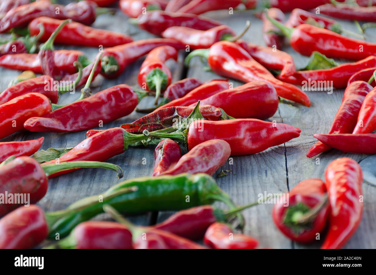 Raw organic Chili Paprika auf einem Holztisch getrocknet. Foto mit geringer Tiefenschärfe. Stockfoto