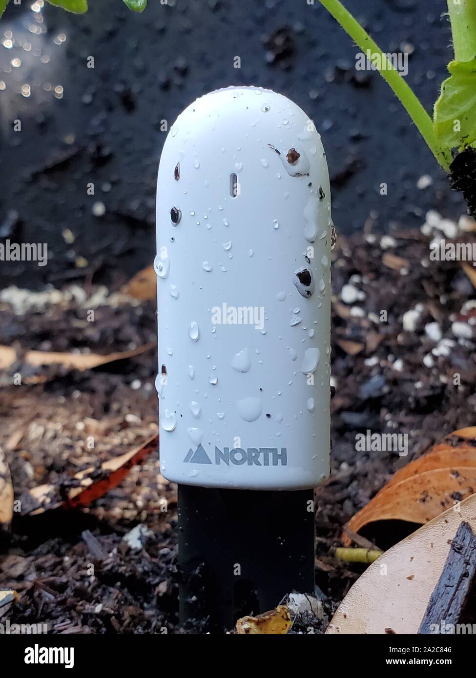 Nahaufnahme des North Smart Home Plant Sensors zur Überwachung von Pflanzen in einem intelligenten Garten, der im Boden in der Nähe der Anlage in San Ramon, Kalifornien, am 13. August 2019 aufgestellt wurde. () Stockfoto